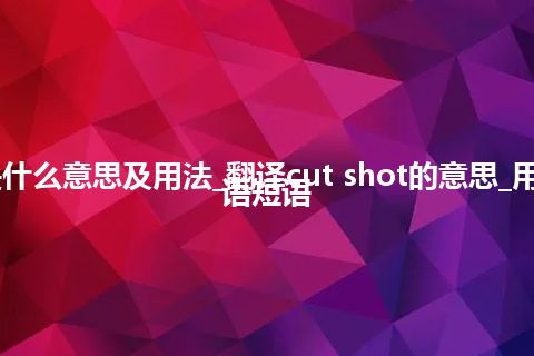 cut shot是什么意思及用法_翻译cut shot的意思_用法_例句_英语短语