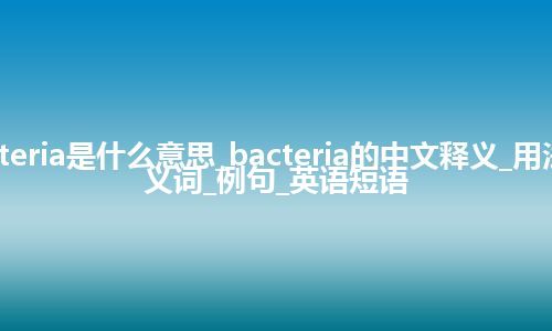 bacteria是什么意思_bacteria的中文释义_用法_同义词_例句_英语短语