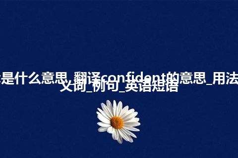 confident是什么意思_翻译confident的意思_用法_同义词_反义词_例句_英语短语