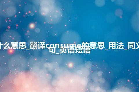 consume是什么意思_翻译consume的意思_用法_同义词_反义词_例句_英语短语