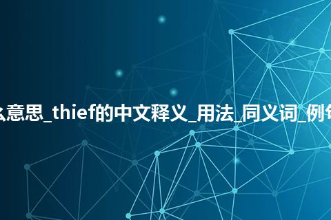 thief是什么意思_thief的中文释义_用法_同义词_例句_英语短语