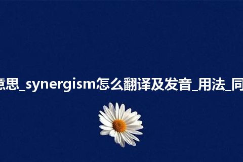 synergism是什么意思_synergism怎么翻译及发音_用法_同义词_例句_英语短语