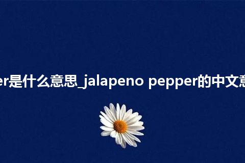 jalapeno pepper是什么意思_jalapeno pepper的中文意思_用法_同义词