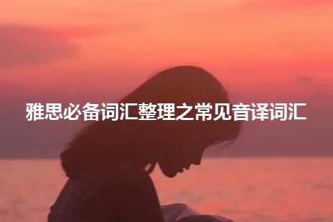 雅思必备词汇整理之常见音译词汇