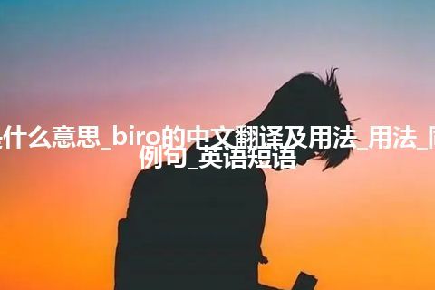 biro是什么意思_biro的中文翻译及用法_用法_同义词_例句_英语短语