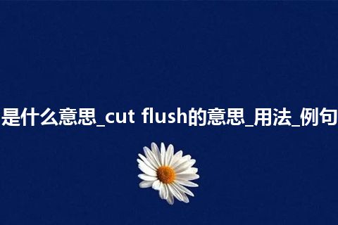 cut flush是什么意思_cut flush的意思_用法_例句_英语短语