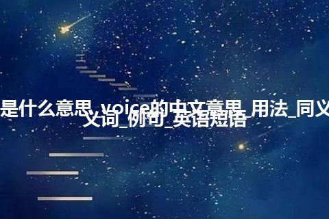 voice是什么意思_voice的中文意思_用法_同义词_反义词_例句_英语短语