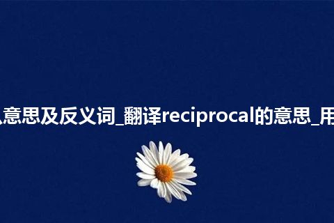 reciprocal是什么意思及反义词_翻译reciprocal的意思_用法_同义词_反义词