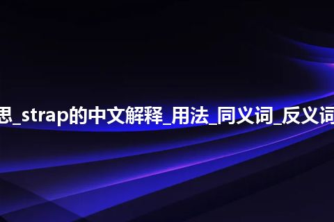 strap是什么意思_strap的中文解释_用法_同义词_反义词_例句_英语短语