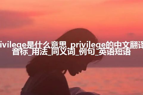 privilege是什么意思_privilege的中文翻译及音标_用法_同义词_例句_英语短语