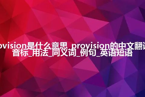 provision是什么意思_provision的中文翻译及音标_用法_同义词_例句_英语短语