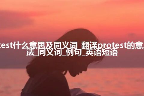 protest什么意思及同义词_翻译protest的意思_用法_同义词_例句_英语短语