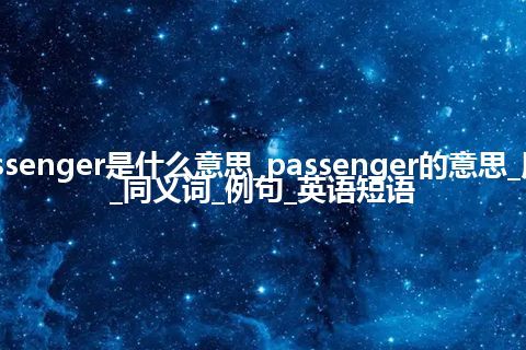 passenger是什么意思_passenger的意思_用法_同义词_例句_英语短语