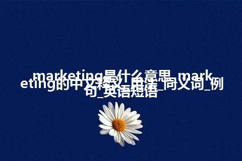 marketing是什么意思_marketing的中文释义_用法_同义词_例句_英语短语