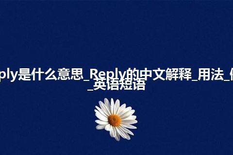 Reply是什么意思_Reply的中文解释_用法_例句_英语短语