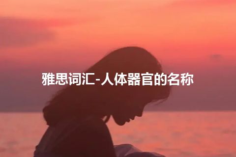 雅思词汇-人体器官的名称