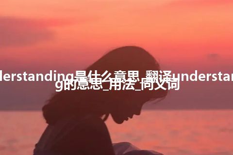 understanding是什么意思_翻译understanding的意思_用法_同义词