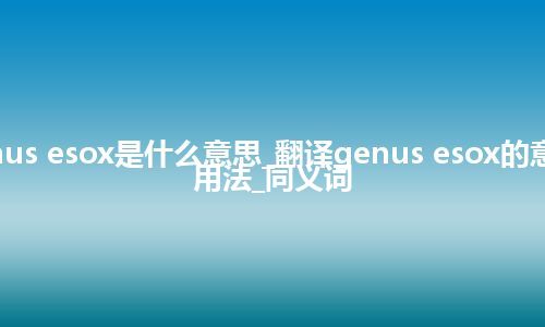 genus esox是什么意思_翻译genus esox的意思_用法_同义词