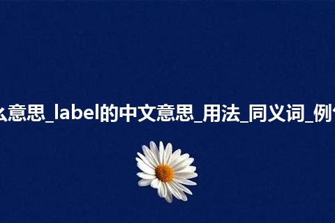 label是什么意思_label的中文意思_用法_同义词_例句_英语短语