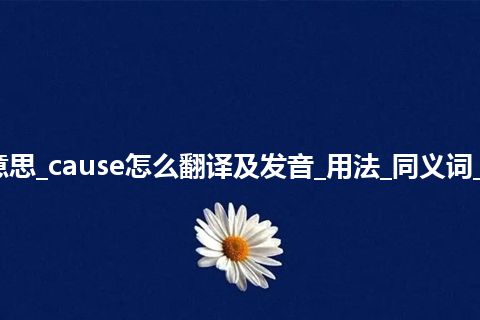 cause是什么意思_cause怎么翻译及发音_用法_同义词_例句_英语短语