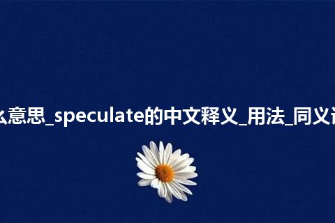 speculate是什么意思_speculate的中文释义_用法_同义词_例句_英语短语