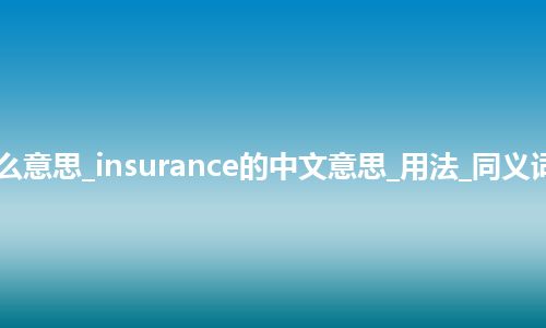 insurance是什么意思_insurance的中文意思_用法_同义词_例句_英语短语