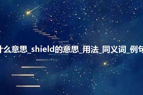 shield是什么意思_shield的意思_用法_同义词_例句_英语短语