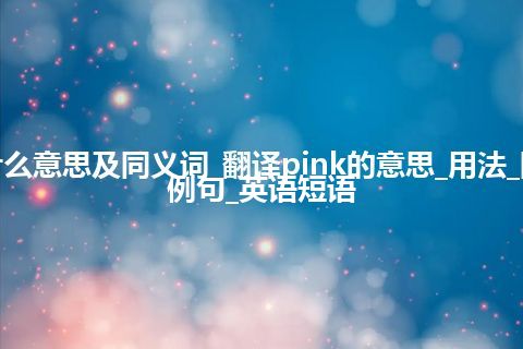 pink什么意思及同义词_翻译pink的意思_用法_同义词_例句_英语短语