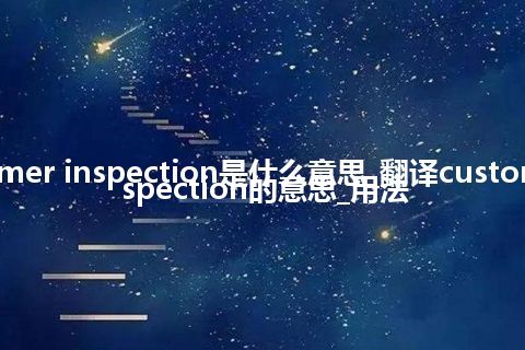 customer inspection是什么意思_翻译customer inspection的意思_用法