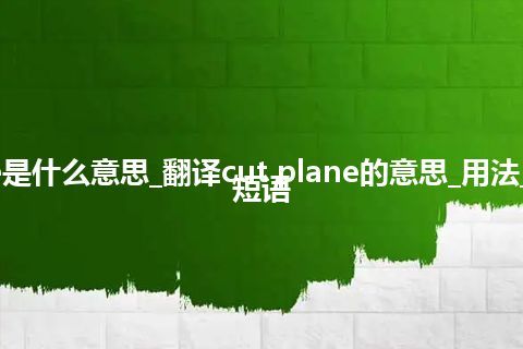 cut plane是什么意思_翻译cut plane的意思_用法_例句_英语短语