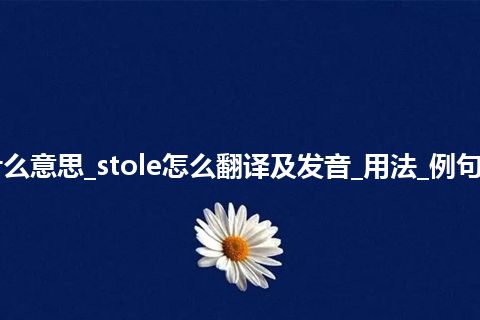 stole是什么意思_stole怎么翻译及发音_用法_例句_英语短语