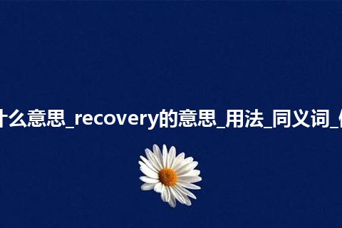 recovery是什么意思_recovery的意思_用法_同义词_例句_英语短语