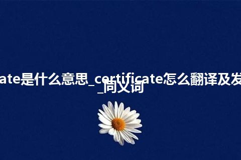 certificate是什么意思_certificate怎么翻译及发音_用法_同义词