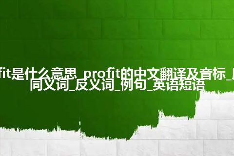 profit是什么意思_profit的中文翻译及音标_用法_同义词_反义词_例句_英语短语