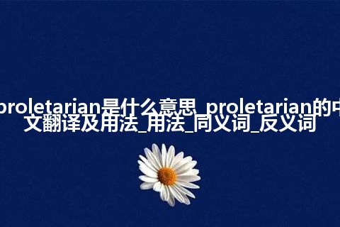 proletarian是什么意思_proletarian的中文翻译及用法_用法_同义词_反义词