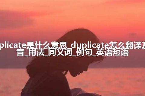 duplicate是什么意思_duplicate怎么翻译及发音_用法_同义词_例句_英语短语