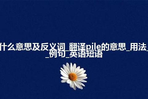 pile是什么意思及反义词_翻译pile的意思_用法_同义词_例句_英语短语