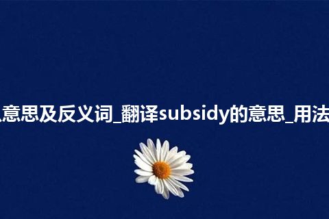 subsidy是什么意思及反义词_翻译subsidy的意思_用法_例句_英语短语