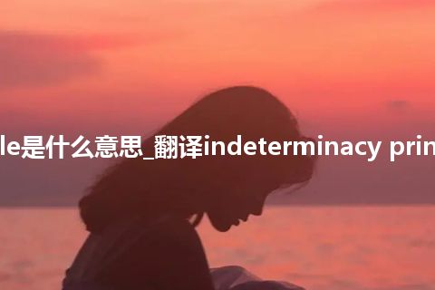 indeterminacy principle是什么意思_翻译indeterminacy principle的意思_用法_同义词