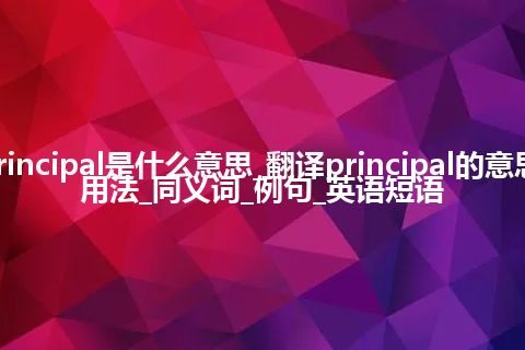 principal是什么意思_翻译principal的意思_用法_同义词_例句_英语短语