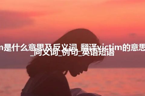 victim是什么意思及反义词_翻译victim的意思_用法_同义词_例句_英语短语