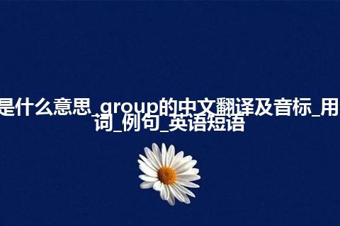 group是什么意思_group的中文翻译及音标_用法_同义词_例句_英语短语