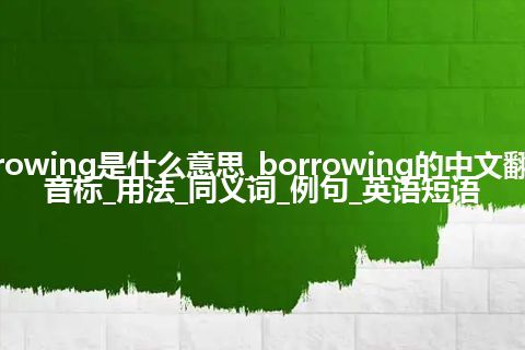 borrowing是什么意思_borrowing的中文翻译及音标_用法_同义词_例句_英语短语