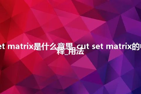 cut set matrix是什么意思_cut set matrix的中文解释_用法