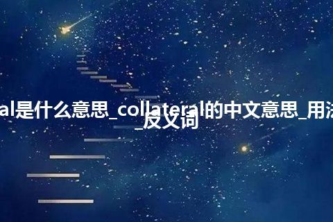 collateral是什么意思_collateral的中文意思_用法_同义词_反义词