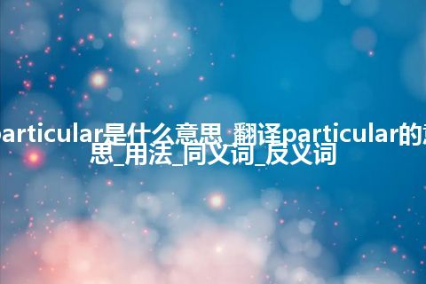 particular是什么意思_翻译particular的意思_用法_同义词_反义词