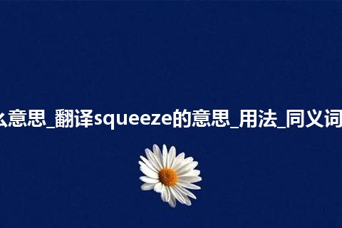 squeeze是什么意思_翻译squeeze的意思_用法_同义词_例句_英语短语