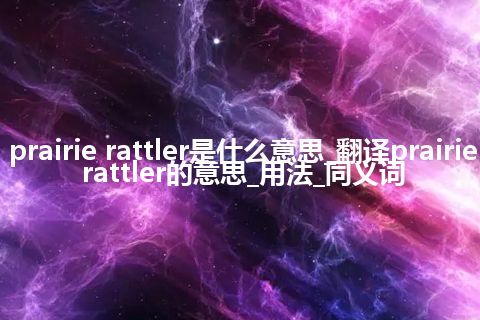 prairie rattler是什么意思_翻译prairie rattler的意思_用法_同义词