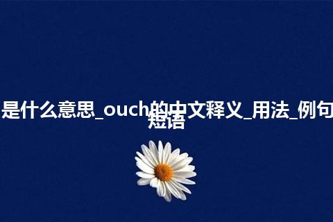 ouch是什么意思_ouch的中文释义_用法_例句_英语短语