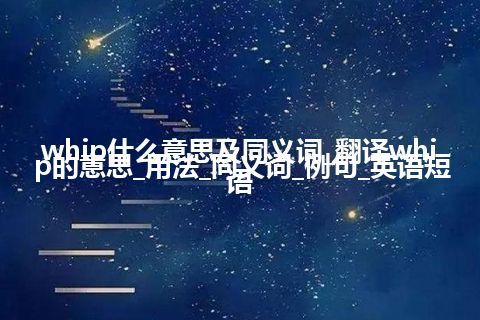 whip什么意思及同义词_翻译whip的意思_用法_同义词_例句_英语短语